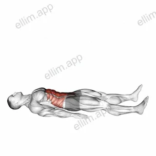 Half Sit-up exercise targeting Waist and Iliopsoas
