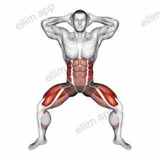 Half Squat Side Reach exercise targeting Waist