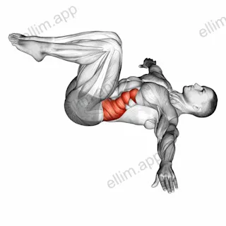 Half Wipers (bent leg) exercise targeting Waist and Obliques