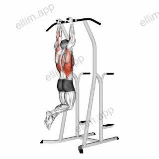 Hammer Grip Pull up on Dip Cage exercise targeting Back