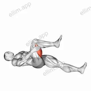 Hamstring Stretch exercise targeting Thighs and Hamstrings