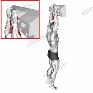 Handboard Half Crimp exercise targeting Forearms and Wrist Flexors