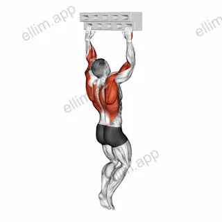 Handboard Hang with 135 Degree Elbow exercise targeting Forearms