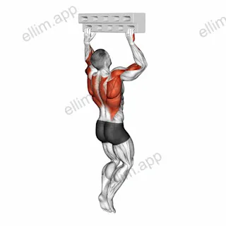 Handboard Hang with 90 Degree Elbow exercise targeting Forearms