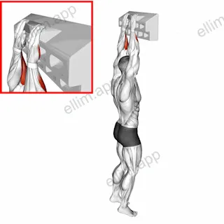 Handboard Open Hand Grip exercise targeting Forearms and Wrist Flexors