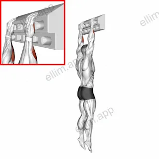 Handboard Slope Hang exercise targeting Forearms