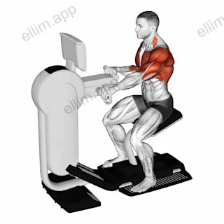 Hands bike exercise targeting Cardio