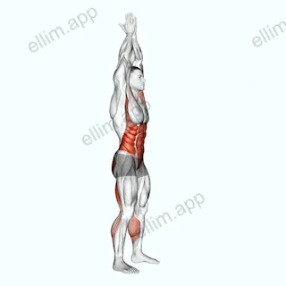 Hands Clasped Circular Toe Touch exercise targeting Hips and Waist