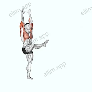 Handstand exercise targeting Upper Arms and Triceps Brachii