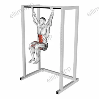 Hanging Deadbug exercise targeting Hips and Iliopsoas