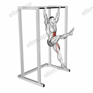 Hanging Flutter Kick exercise targeting Waist and Iliopsoas