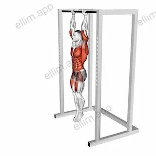 Hanging Front Lever Raise exercise targeting Waist