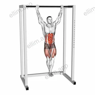 Hanging Knee Circle Raise exercise targeting Hips