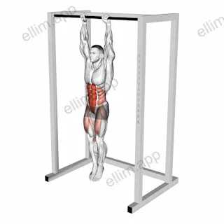 Hanging Knees to Elbows exercise targeting Waist and Iliopsoas