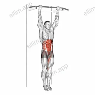 Hanging Leg Hip Raise exercise targeting Waist and Iliopsoas
