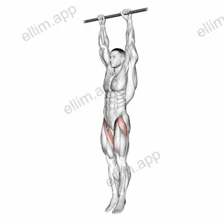 Hanging Leg Raise exercise targeting Hips and Iliopsoas