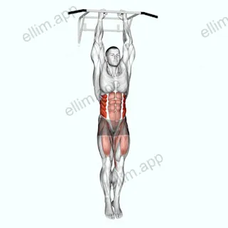 Hanging Oblique Knee Raise exercise targeting Waist and Iliopsoas