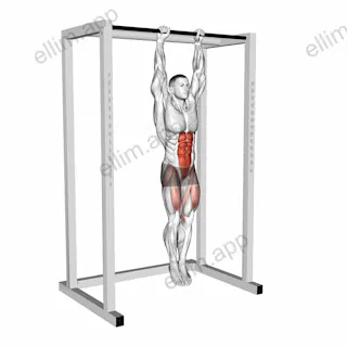 Hanging Straight Leg Raise exercise targeting Hips and Iliopsoas