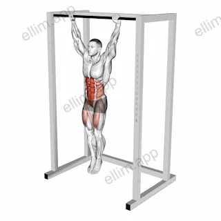 Hanging Toes to Bar exercise targeting Waist and Iliopsoas