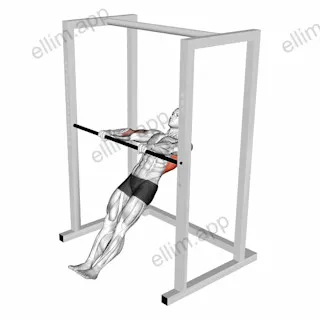 High Bar Inverted Row exercise targeting Back