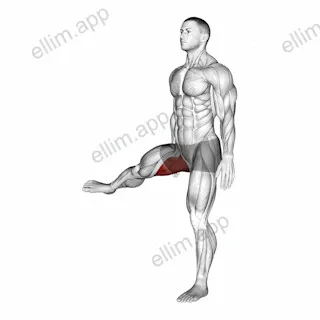 Hip - Adduction exercise targeting Hips
