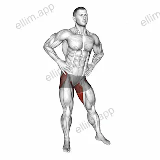 Hip Circles Stretch exercise targeting Hips and Adductor Brevis