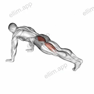 Hip Extension Stretch exercise targeting Hips and Gluteus Maximus