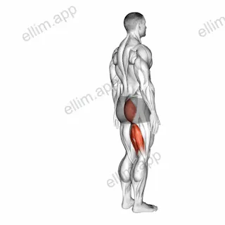Hip - Extension exercise targeting Hips