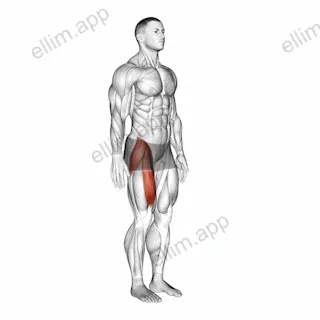 Hip - Flexion exercise targeting Hips