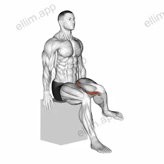 Hip - Lateral Rotation (External Rotation) exercise targeting Hips