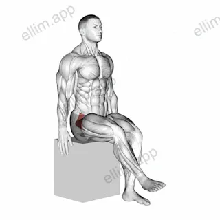 Hip - Medial Rotation (Internal Rotation) exercise targeting Hips