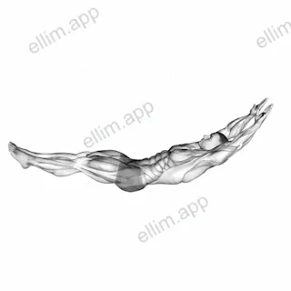 Hollow Hold exercise targeting Waist and Iliopsoas