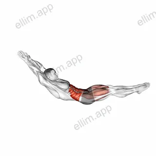 Hollow Rock exercise targeting Waist