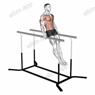 Impossible dips exercise targeting Upper Arms and Waist
