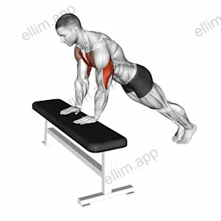Incline Close Grip Push Up exercise targeting Upper Arms