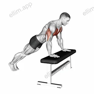 Incline Push-up (on bench) exercise targeting Chest