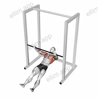 Inverted Row Slide on Floor exercise targeting Back