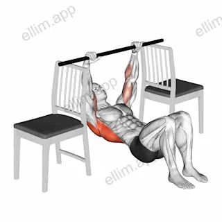 Inverted Row with Bent Knee between Chairs exercise targeting Back and Infraspinatus