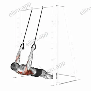 Inverted Row with Straps exercise targeting Back and Infraspinatus