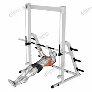Inverted Row exercise targeting Back and Infraspinatus