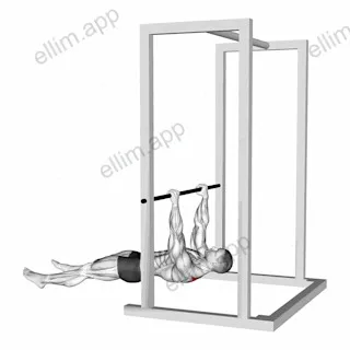 Inverted Shrug exercise targeting Back