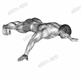 Iron Cross Plank exercise targeting Back and Gluteus Maximus