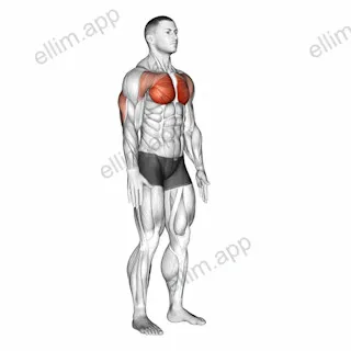 Isometric Chest Squeeze exercise targeting Chest and Pectoralis Major Sternal Head
