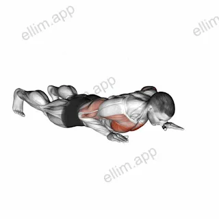 Isometric Wipers exercise targeting Chest and Pectoralis Major Sternal Head