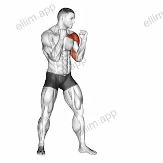 Jab. Boxing exercise targeting Plyometrics