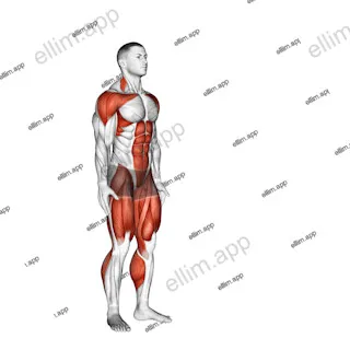 Jack Jump exercise targeting Cardio