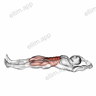 Jackknife Sit Up exercise targeting Waist