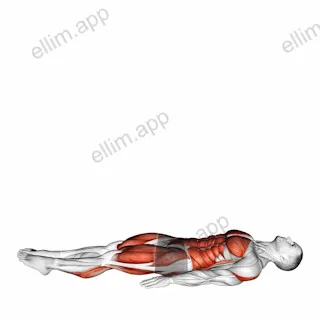 JackKnife exercise targeting Stretching