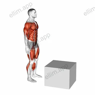 Jump on Fit Box exercise targeting Plyometrics