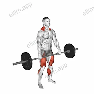 Jump Shrug exercise targeting Thighs and Adductor Magnus